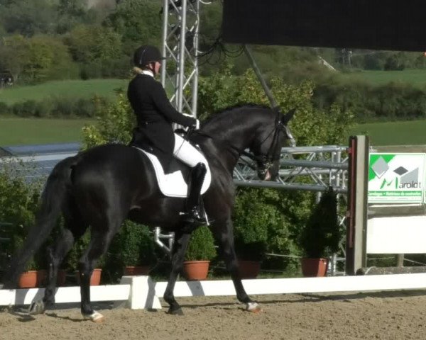 Reitturnier Hünsdorf-Ecurie Josy Hoffmann 2017