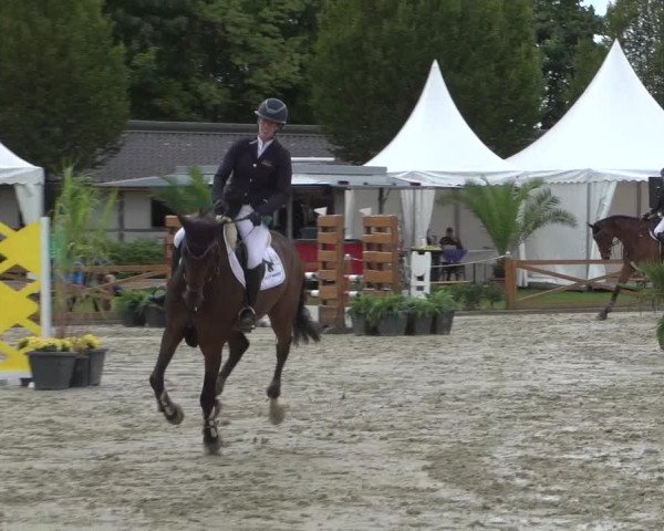 Reitturnier Köln - Reitanlage Brüse 2017