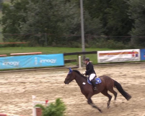 Reitturnier Buchenhof-Ibbenbüren 2017