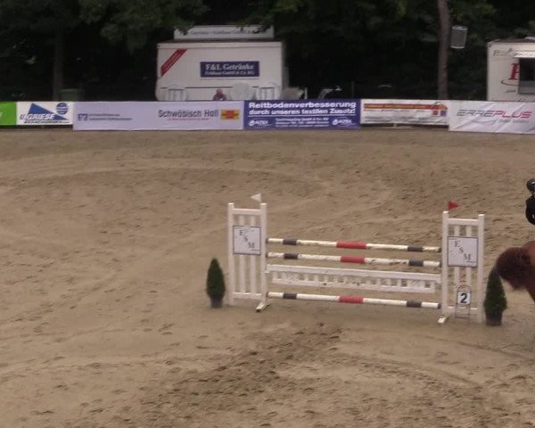 Reitturnier Buchenhof-Ibbenbüren 2017