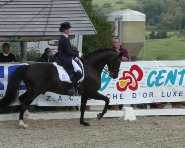 Reitturnier Hünsdorf-Ecurie Josy Hoffmann 2017
