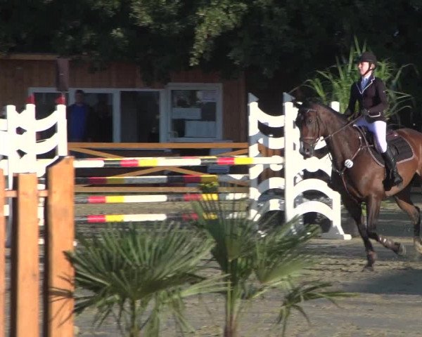 Reitturnier Köln - Reitanlage Brüse 2017