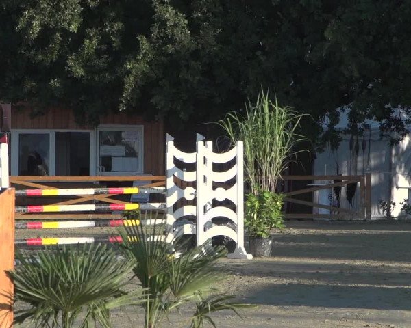 Reitturnier Köln - Reitanlage Brüse 2017