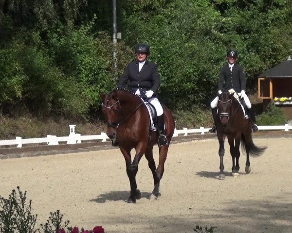Reitturnier Mettmann - Reitanlage Löckenhoff 2017