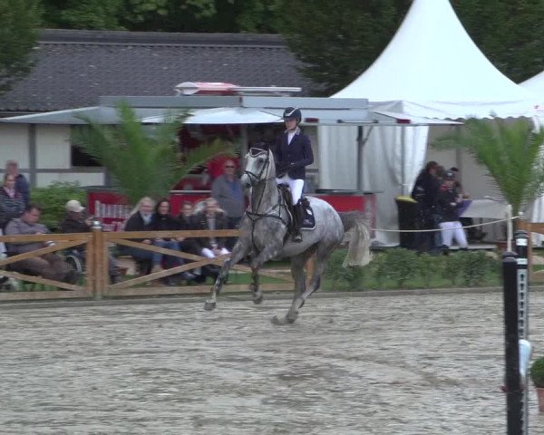 Reitturnier Köln - Reitanlage Brüse 2017