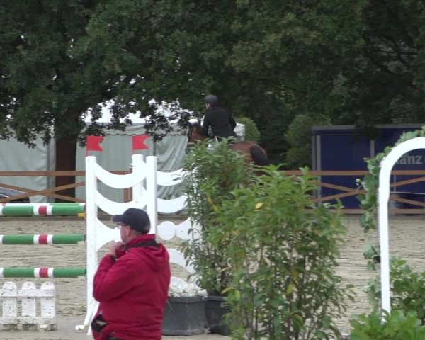 Reitturnier Köln - Reitanlage Brüse 2017