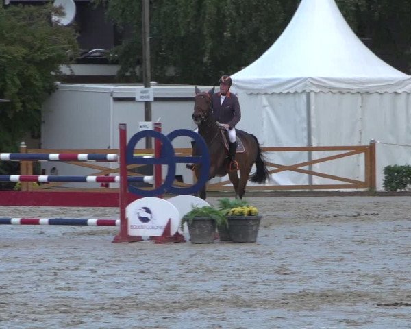 Reitturnier Köln - Reitanlage Brüse 2017