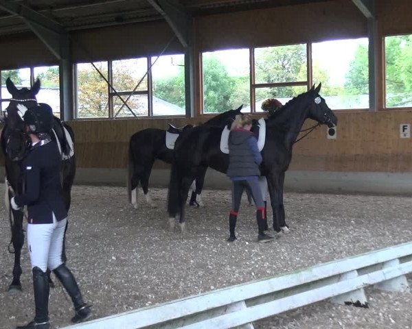 Reitturnier Mettmann - Reitanlage Löckenhoff 2017