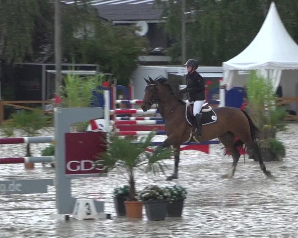 Reitturnier Köln - Reitanlage Brüse 2017