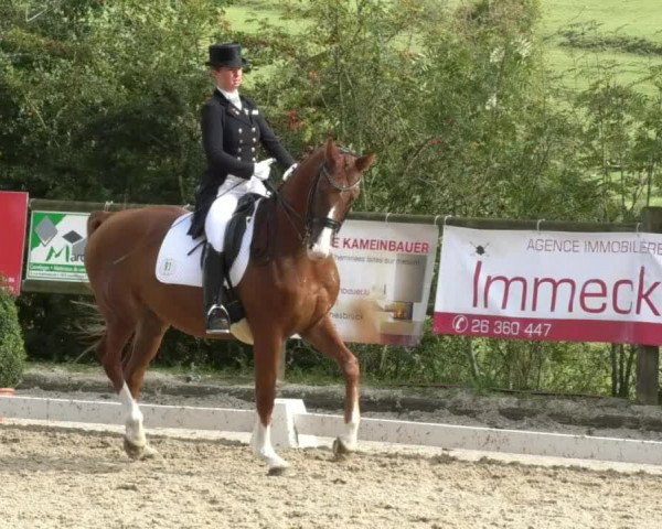 Reitturnier Hünsdorf-Ecurie Josy Hoffmann 2017