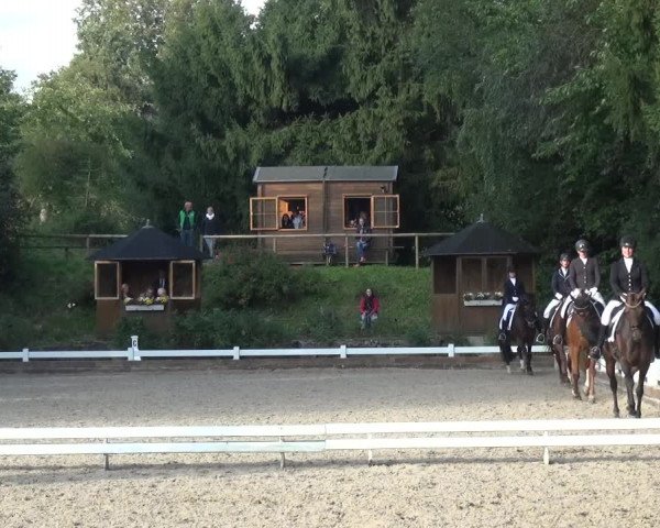 Reitturnier Mettmann - Reitanlage Löckenhoff 2017