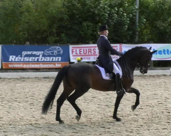 Reitturnier Hünsdorf-Ecurie Josy Hoffmann 2017