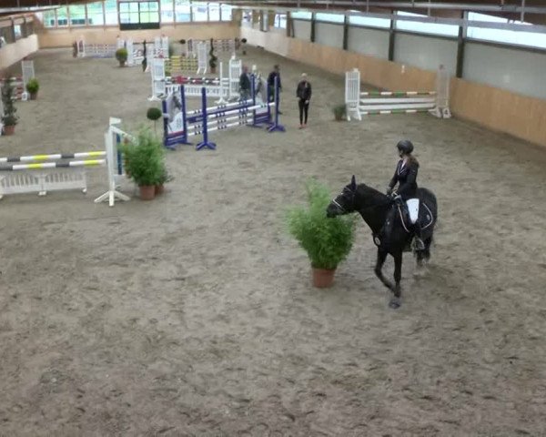 HH-Hell Klein Offenseth 2017