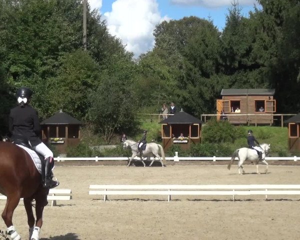 Reitturnier Mettmann - Reitanlage Löckenhoff 2017