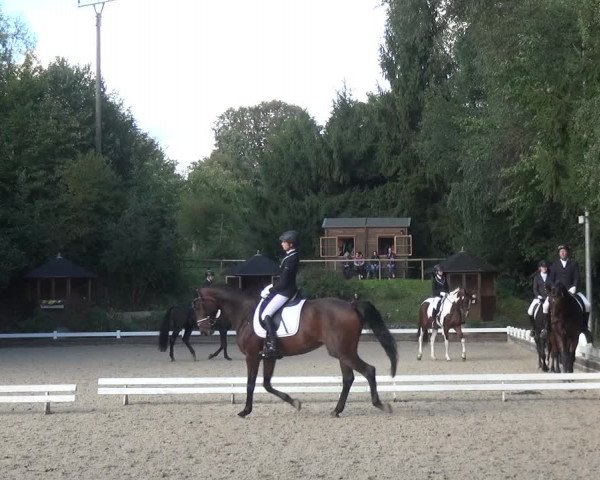 Reitturnier Mettmann - Reitanlage Löckenhoff 2017