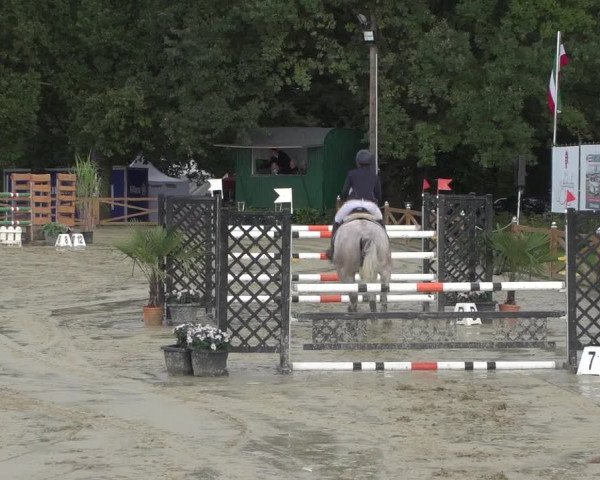 Reitturnier Köln - Reitanlage Brüse 2017