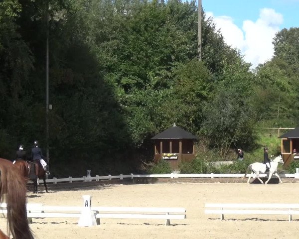Reitturnier Mettmann - Reitanlage Löckenhoff 2017