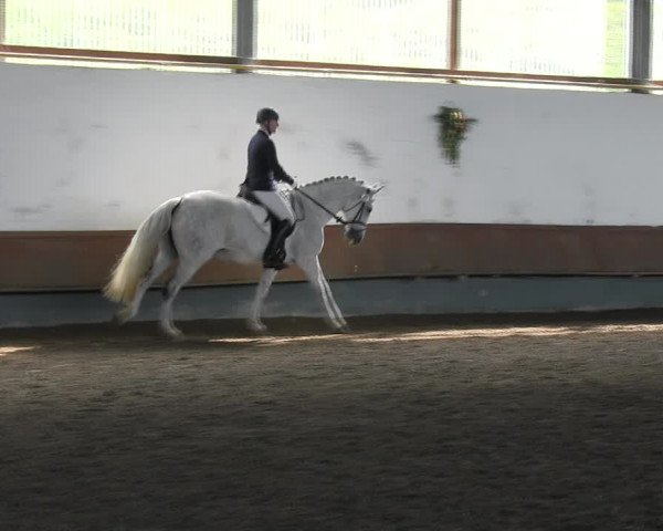 Reitturnier Meinerzhagen 2017