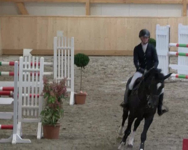 HH-Hell Klein Offenseth 2017