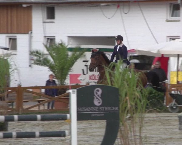 Reitturnier Köln - Reitanlage Brüse 2017