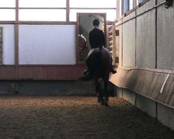 Reitturnier Meinerzhagen 2017