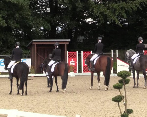 Reitturnier Meinerzhagen 2017
