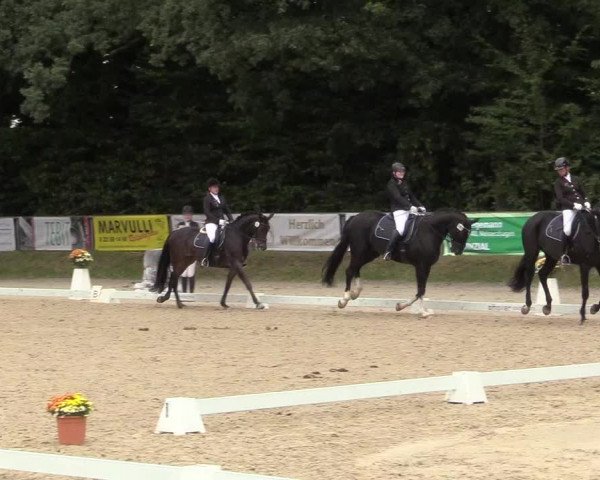 Reitturnier Meinerzhagen 2017