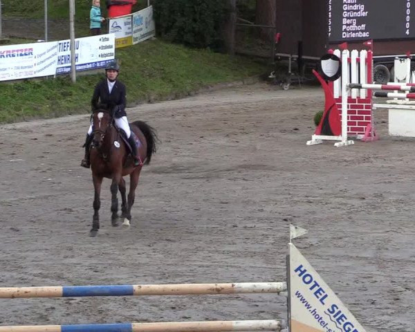 Reitturnier Siegen 2017