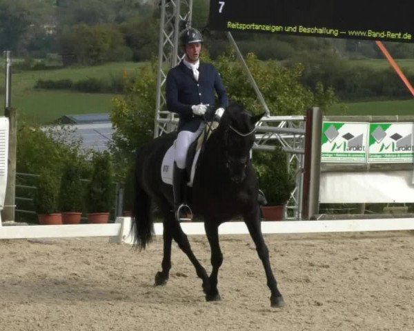 Reitturnier Hünsdorf-Ecurie Josy Hoffmann 2017