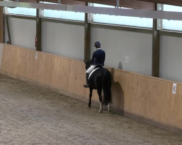 HH-Hell Klein Offenseth 2017