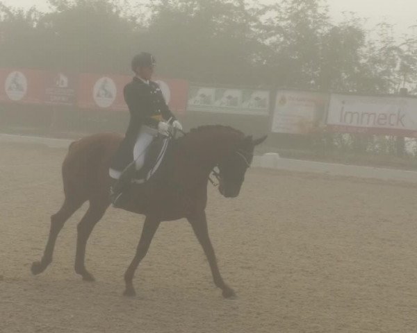 Reitturnier Hünsdorf-Ecurie Josy Hoffmann 2017