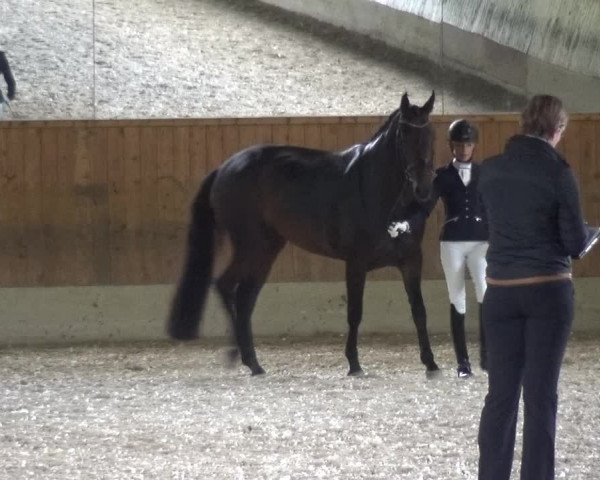 Reitturnier Mettmann - Reitanlage Löckenhoff 2017