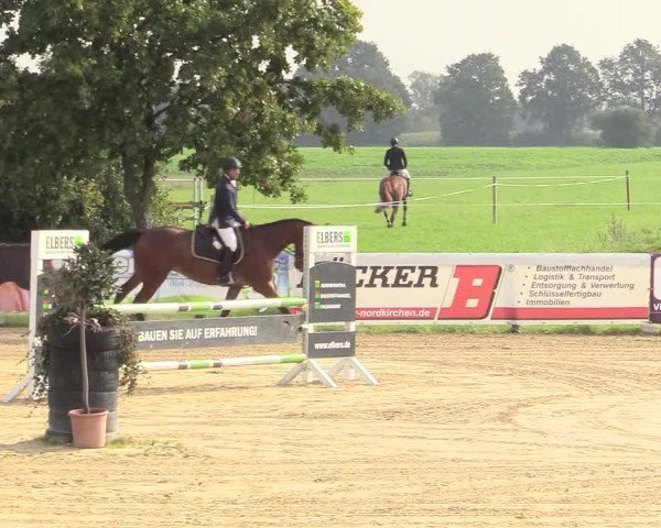 Reitturnier Lüdinghausen-Westrup 2017