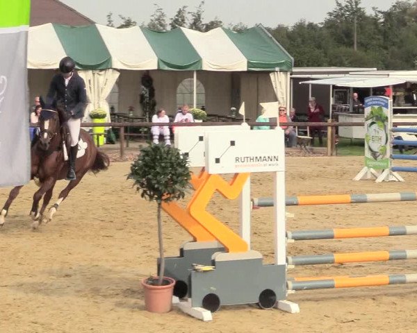 Reitturnier Lüdinghausen-Westrup 2017