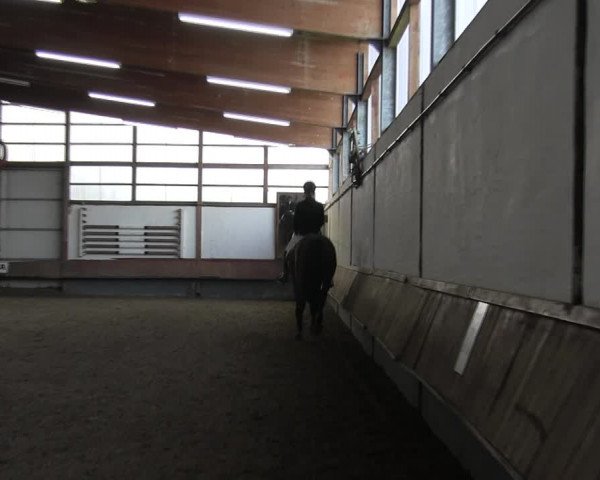 Reitturnier Meinerzhagen 2017