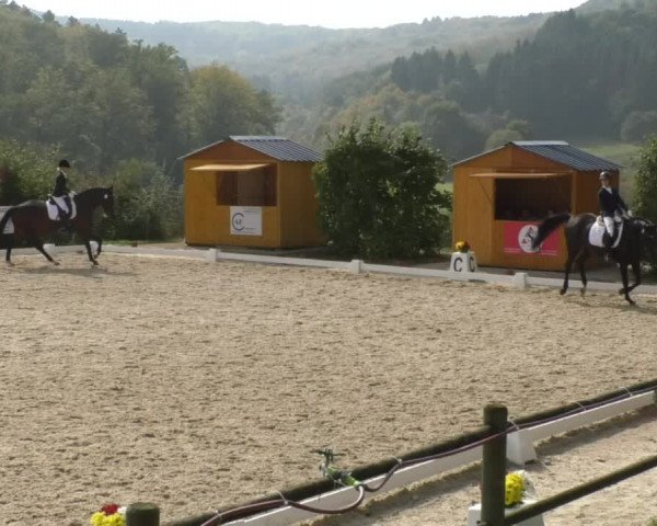 Reitturnier Hünsdorf-Ecurie Josy Hoffmann 2017