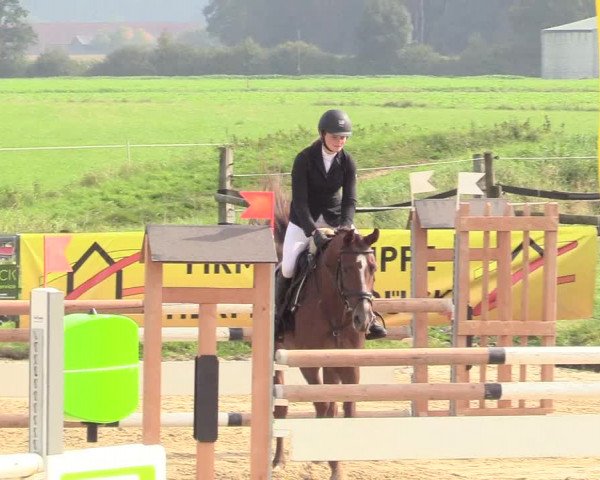 Reitturnier Lüdinghausen-Westrup 2017