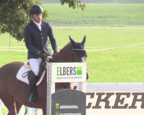 Reitturnier Lüdinghausen-Westrup 2017
