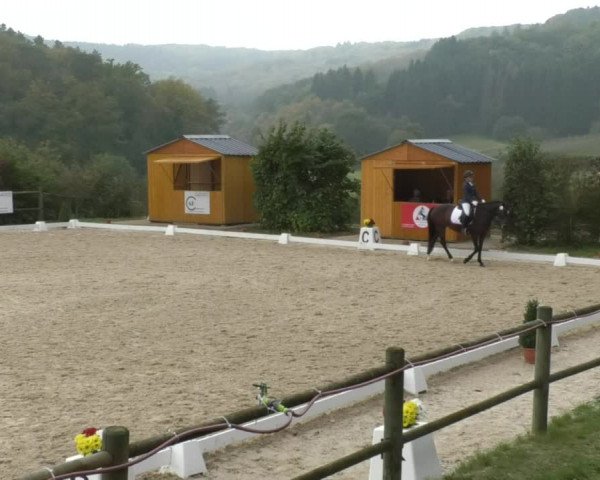 Reitturnier Hünsdorf-Ecurie Josy Hoffmann 2017