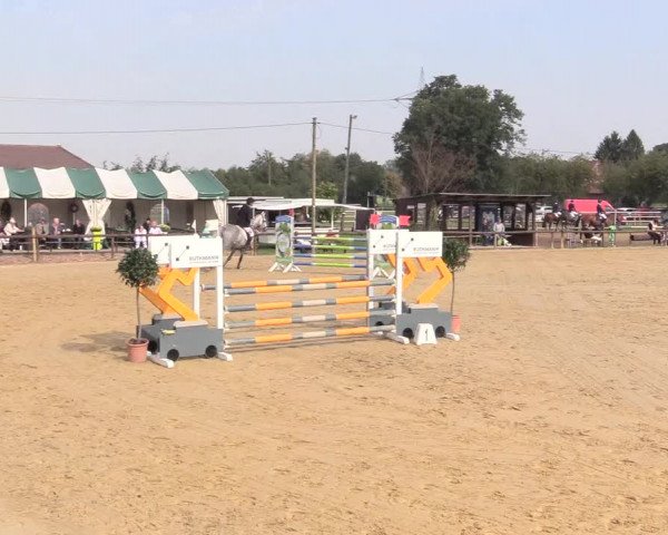 Reitturnier Lüdinghausen-Westrup 2017