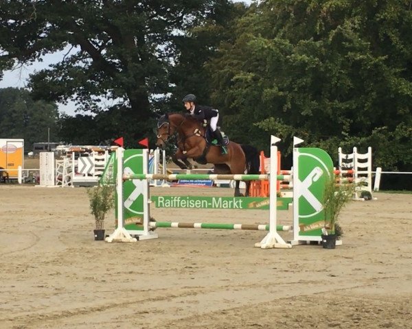 broodmare Landmarie 2 (Oldenburg, 2005, from Landcapitol)