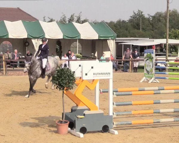 Reitturnier Lüdinghausen-Westrup 2017