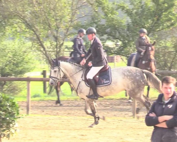 Reitturnier Lüdinghausen-Westrup 2017