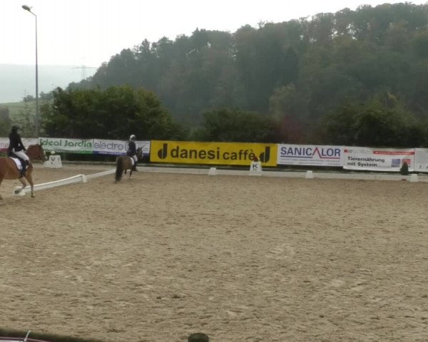 Reitturnier Hünsdorf-Ecurie Josy Hoffmann 2017
