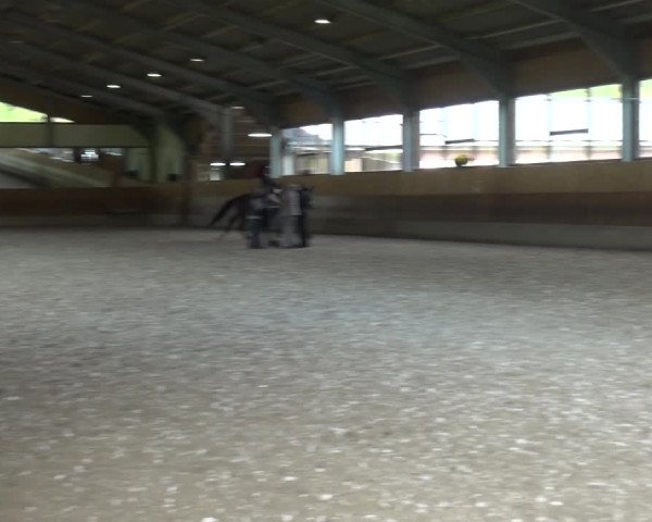 Reitturnier Mettmann - Reitanlage Löckenhoff 2017