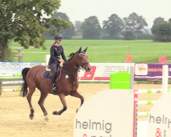 Reitturnier Lüdinghausen-Westrup 2017