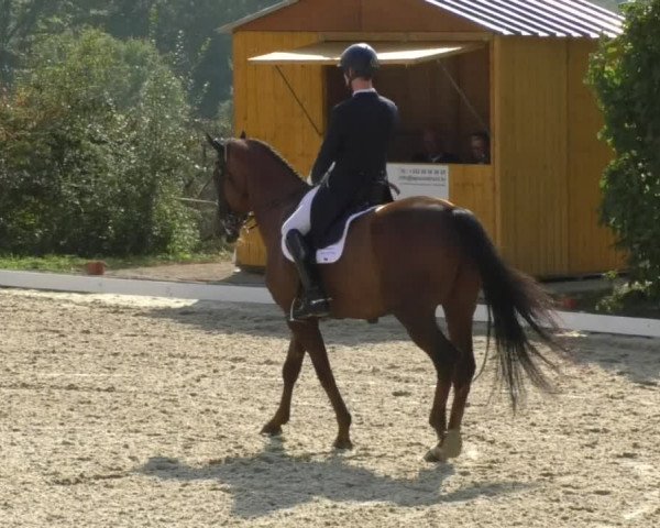 Reitturnier Hünsdorf-Ecurie Josy Hoffmann 2017