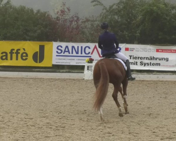 Reitturnier Hünsdorf-Ecurie Josy Hoffmann 2017