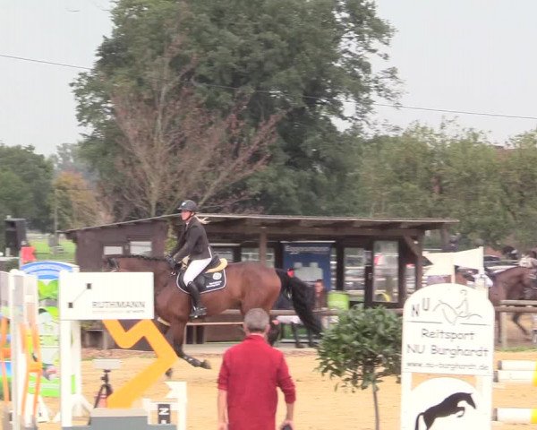 Reitturnier Lüdinghausen-Westrup 2017