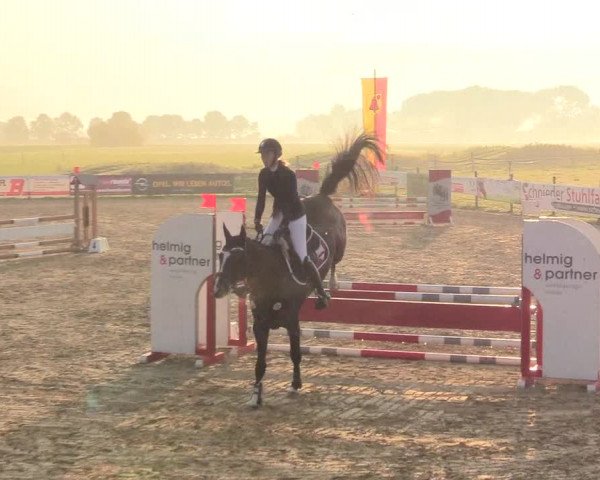 Reitturnier Lüdinghausen-Westrup 2017